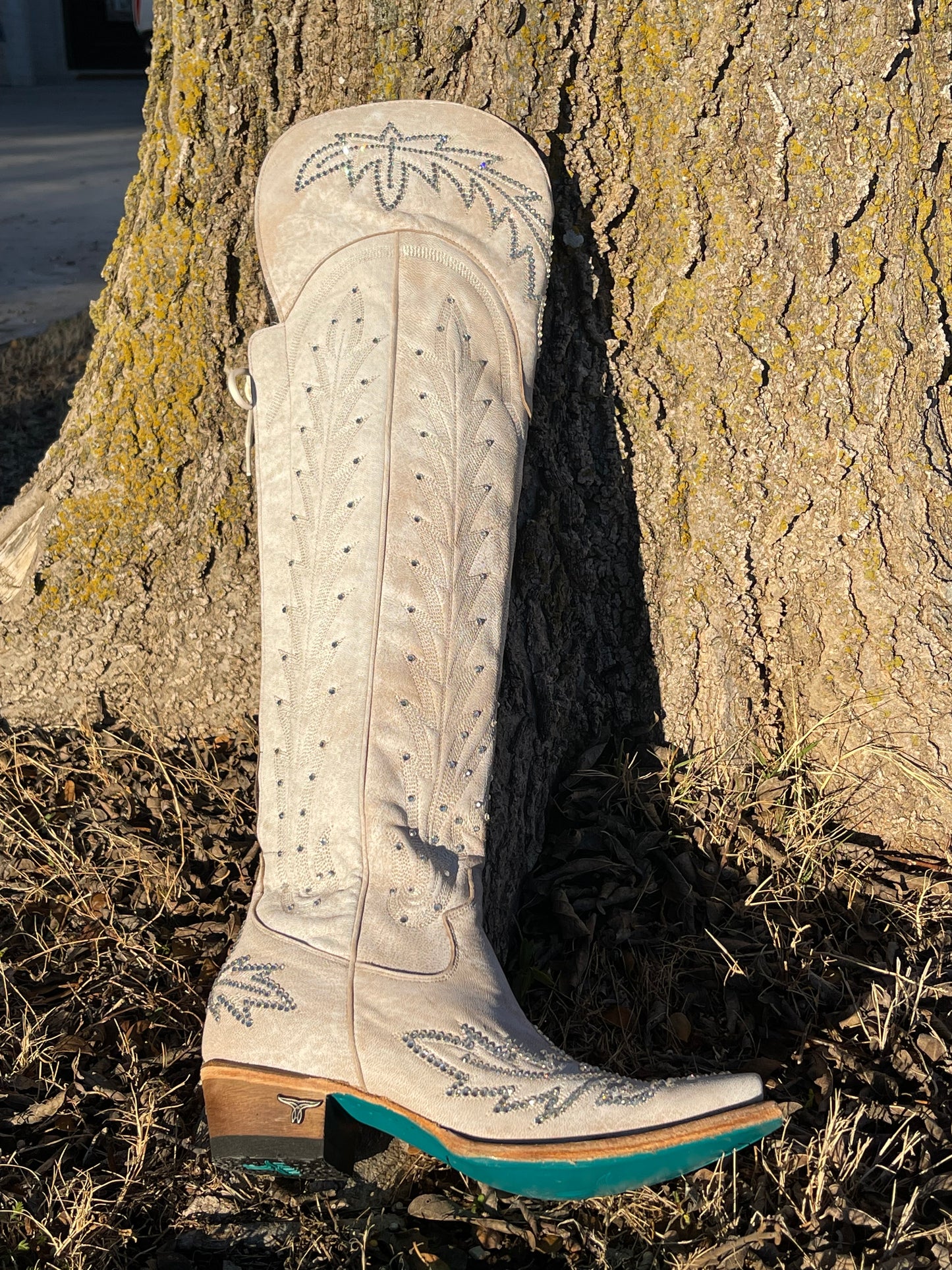 Knew You Were Trouble Boots